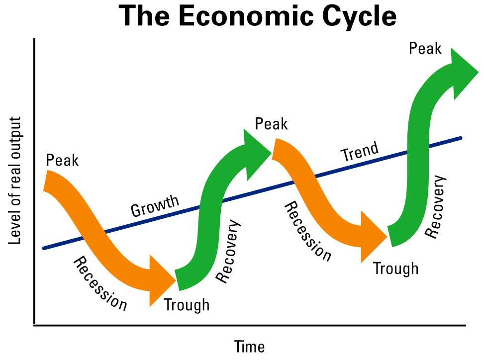 economic sector